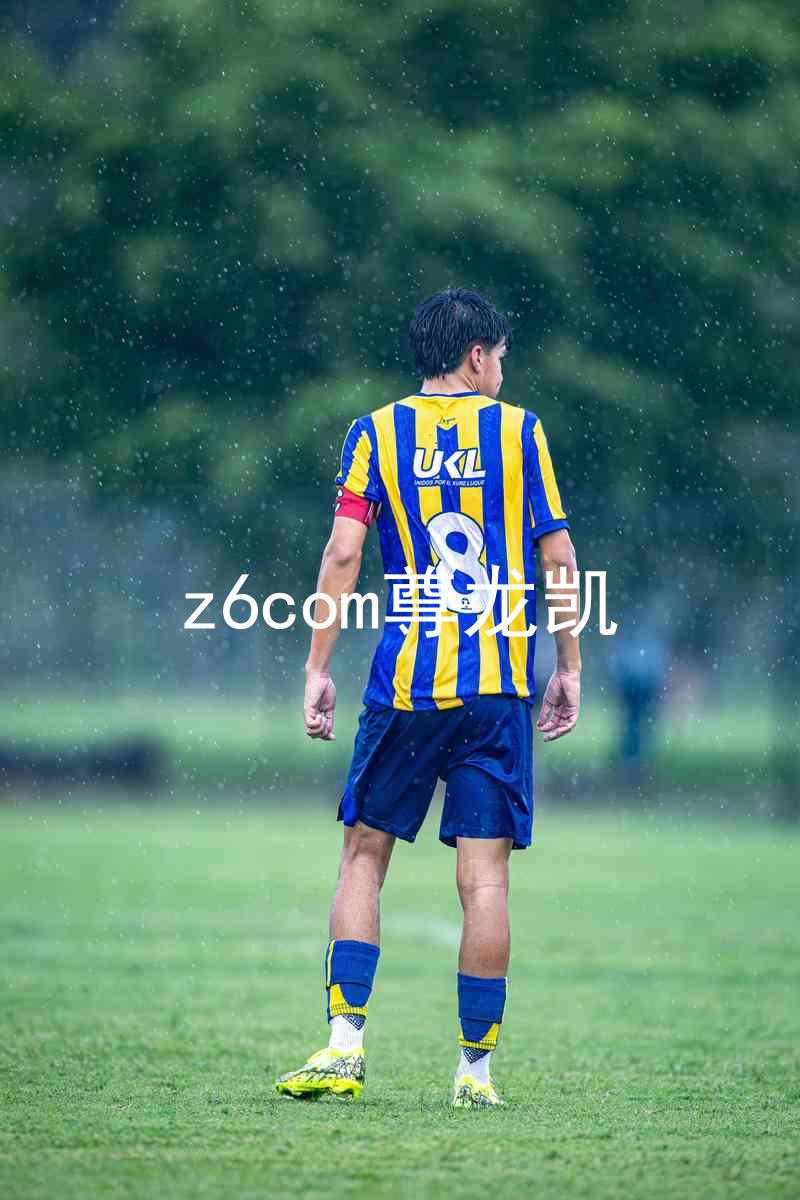 z6com尊龙凯